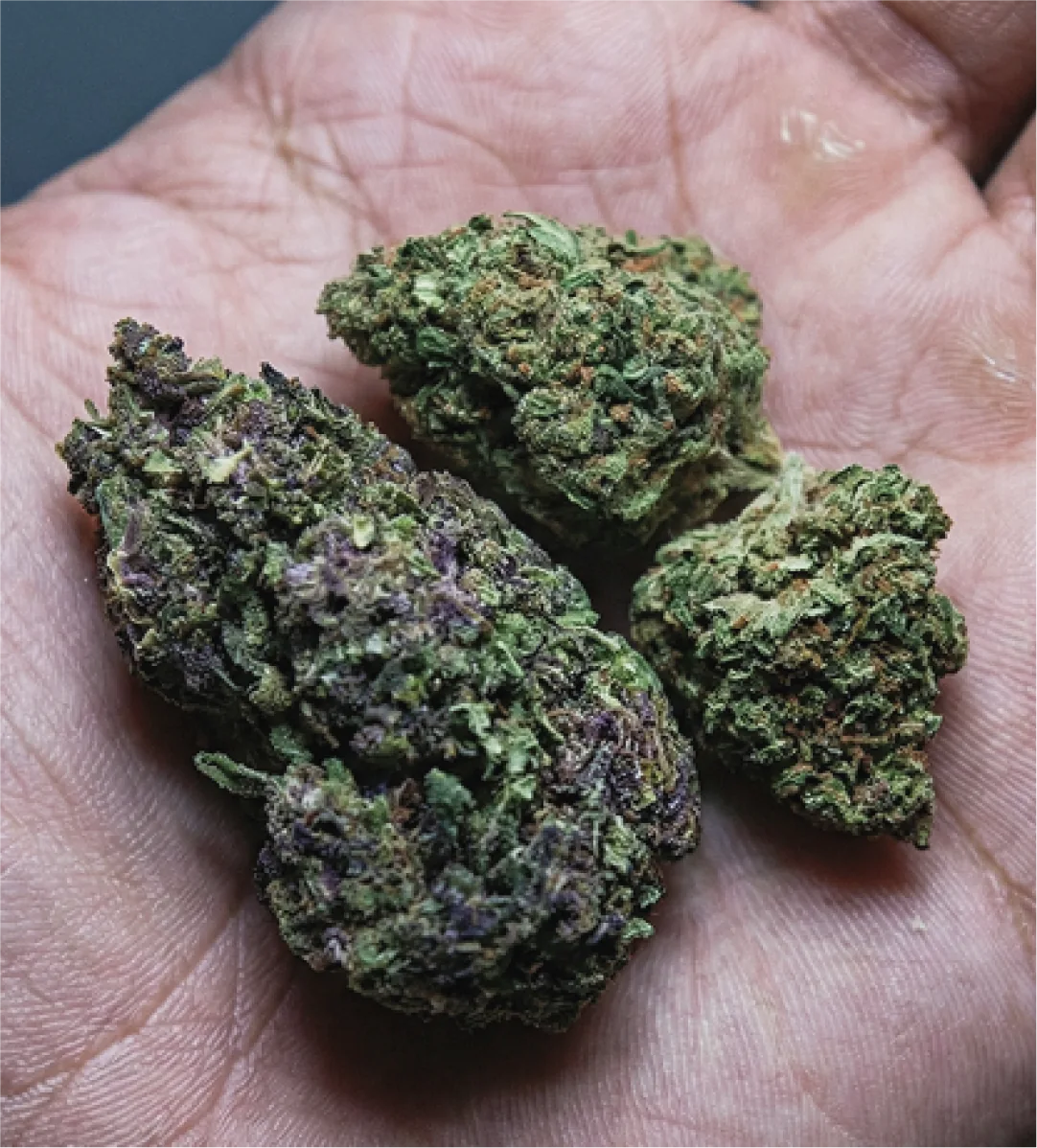 Granddady Purple