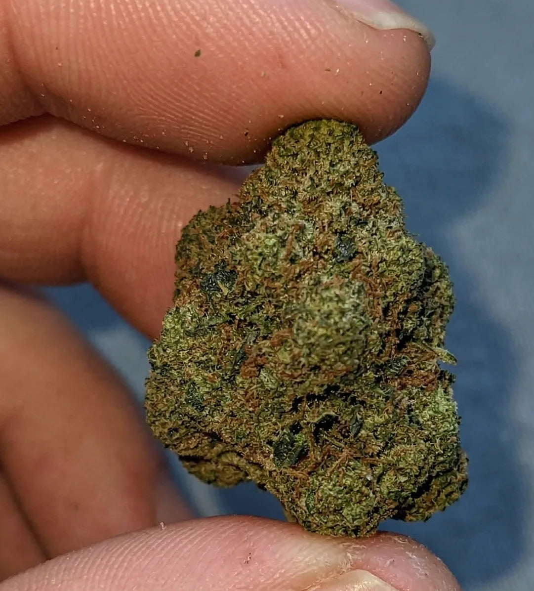 Pack Fleurs