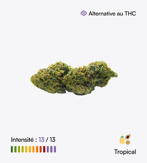 Tropical Kush THCX