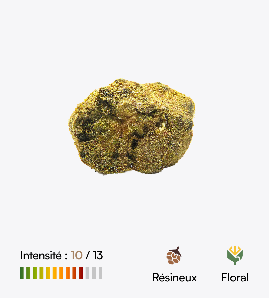 Moon Rock