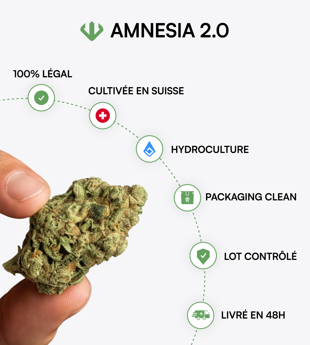 Amnesia 2.0