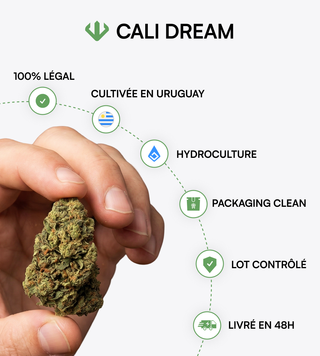 Cali Dream