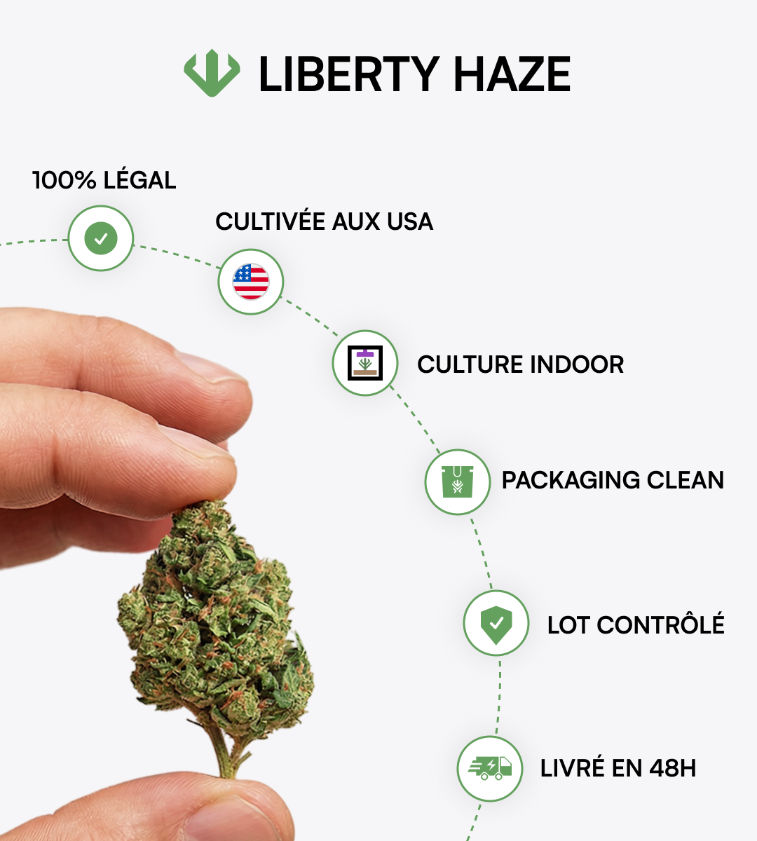 Liberty Haze