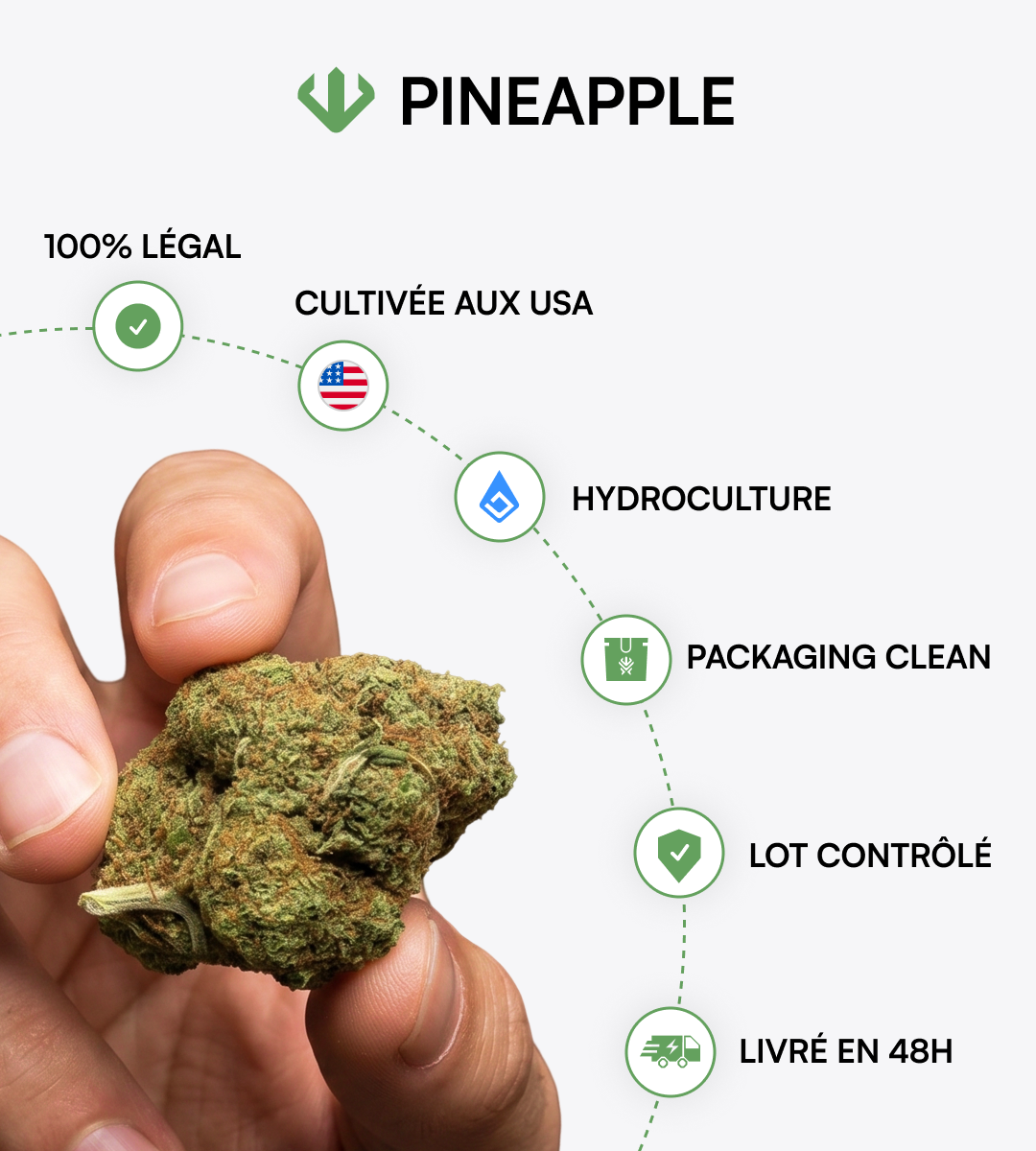 Pineapple