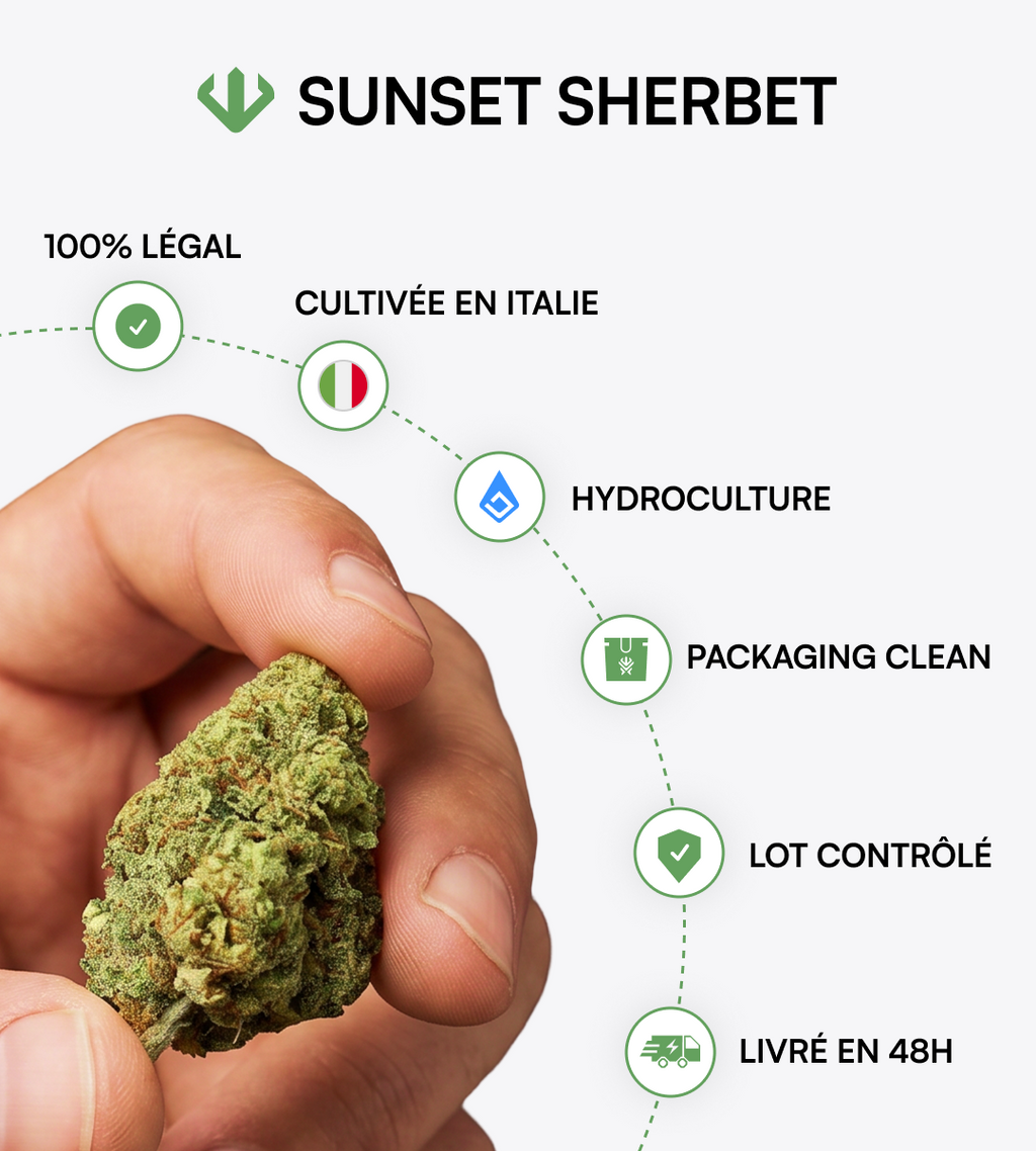 Sunset Sherbet