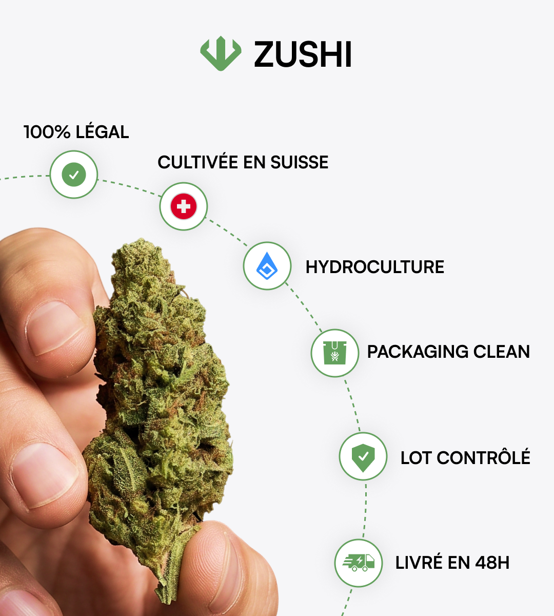 Zushi