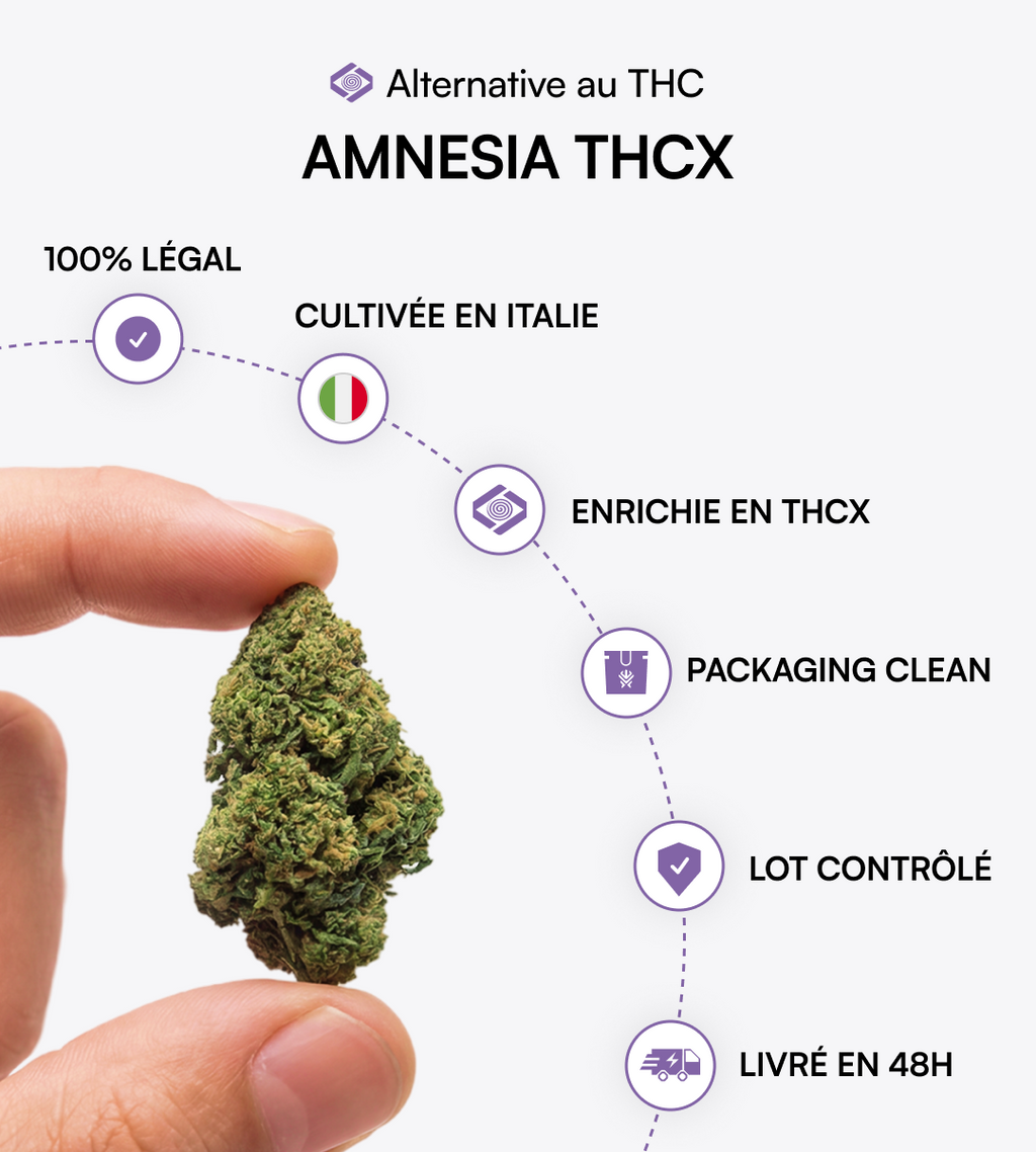 Amnesia THCX