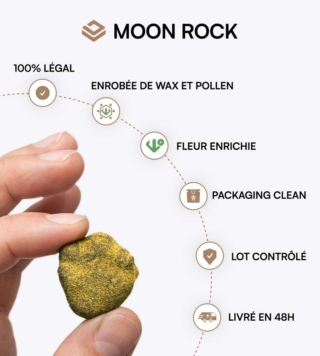 Moon Rock
