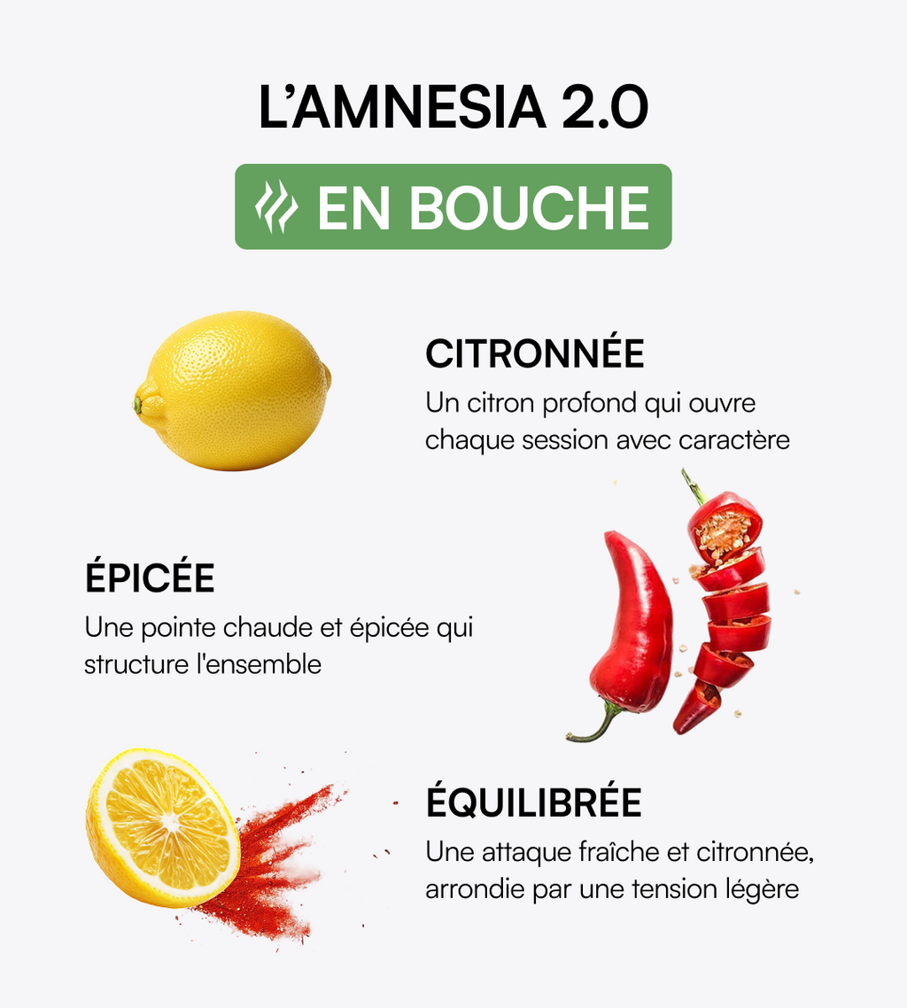Amnesia 2.0