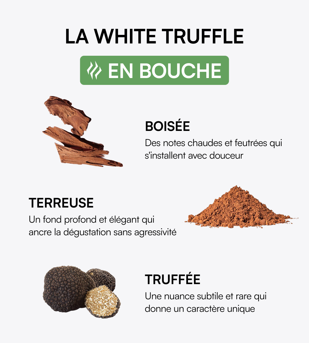 White Truffle