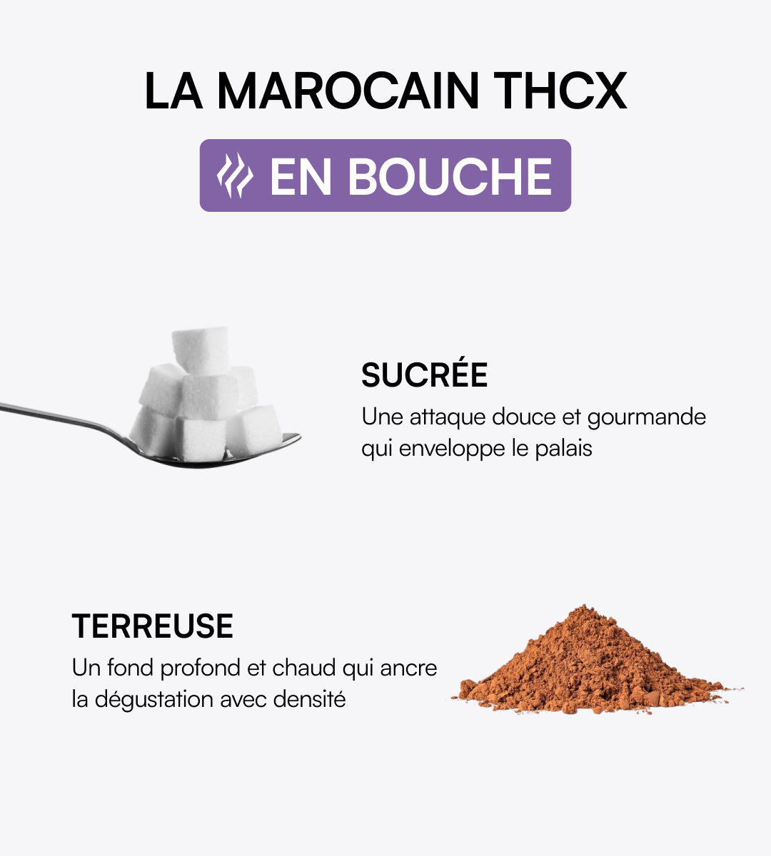 Marocain THCX