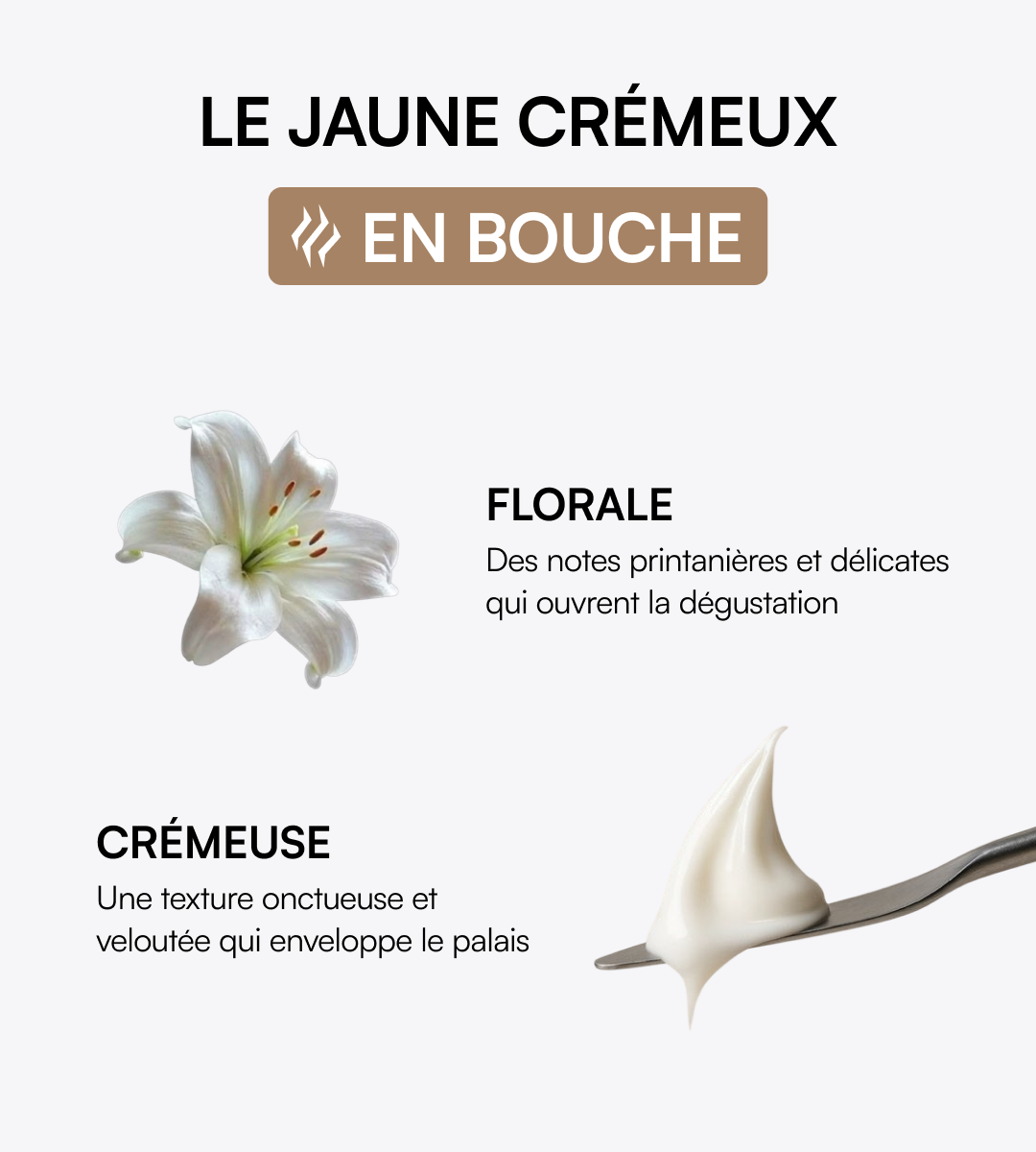 Jaune crémeux
