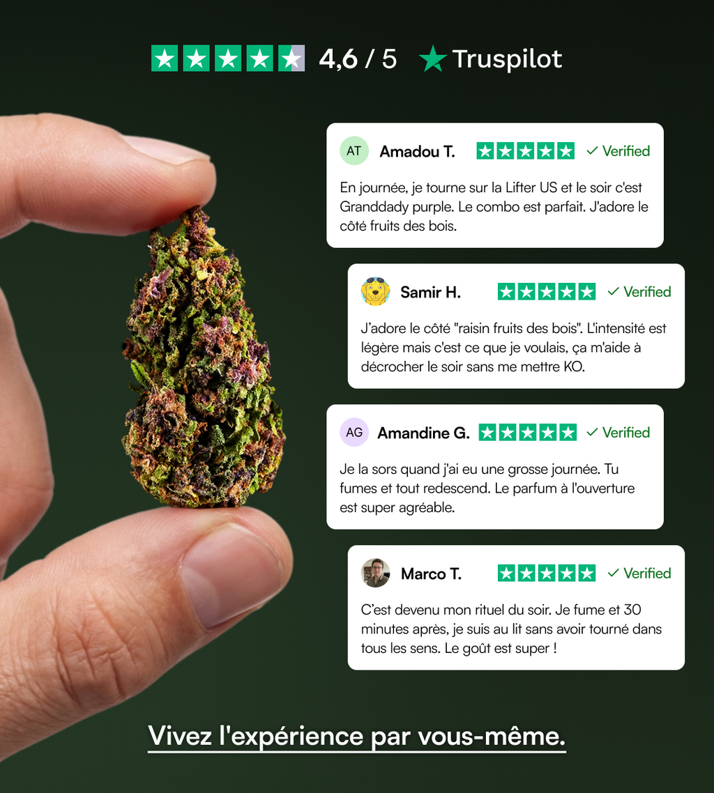 Granddady Purple