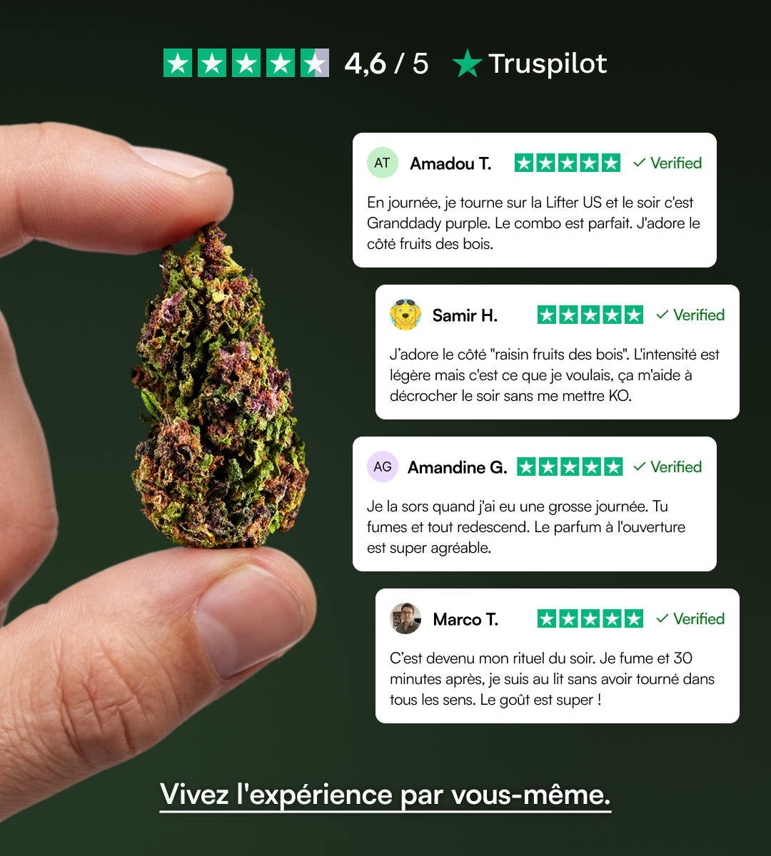 Granddady Purple