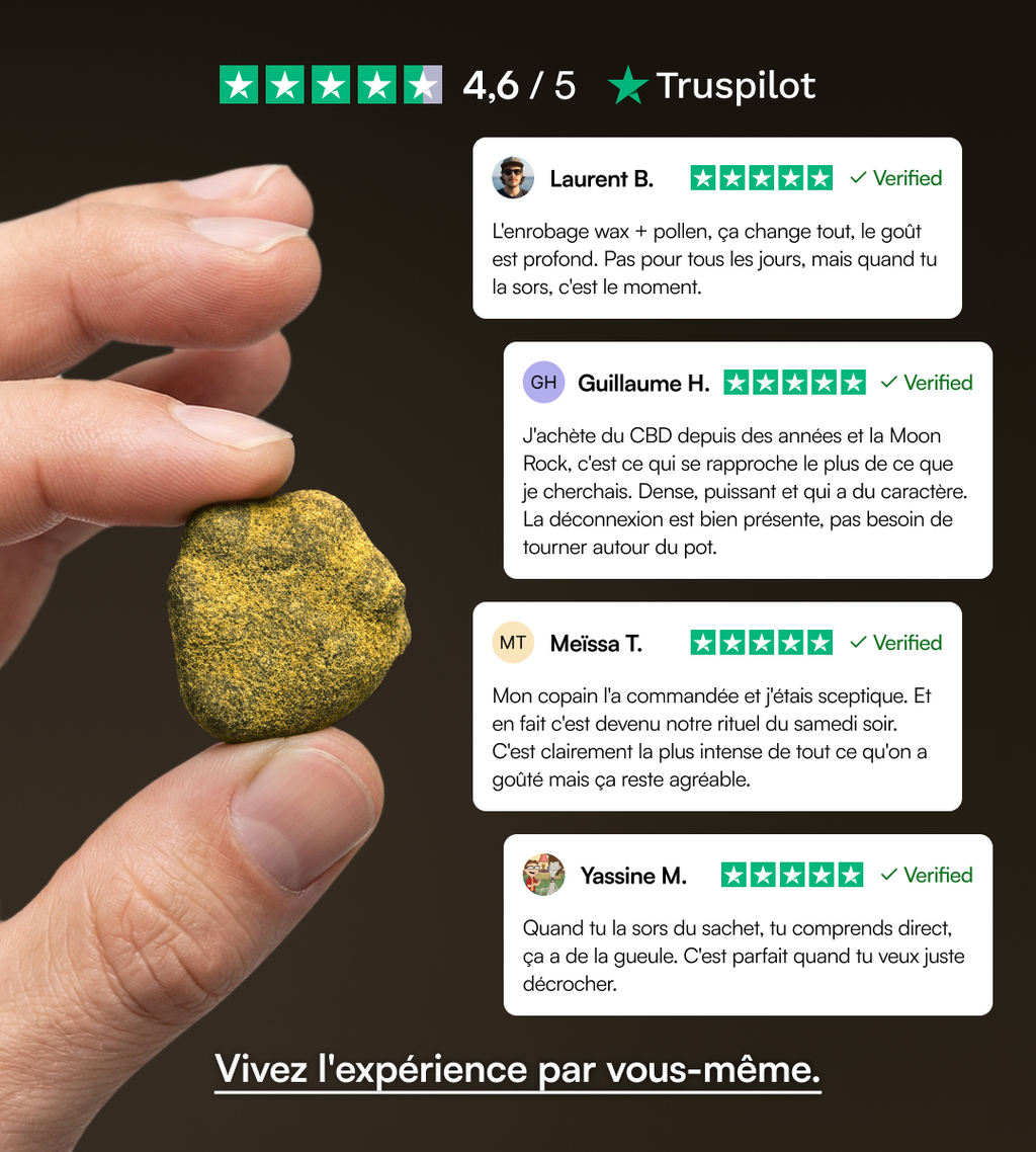 Moon Rock
