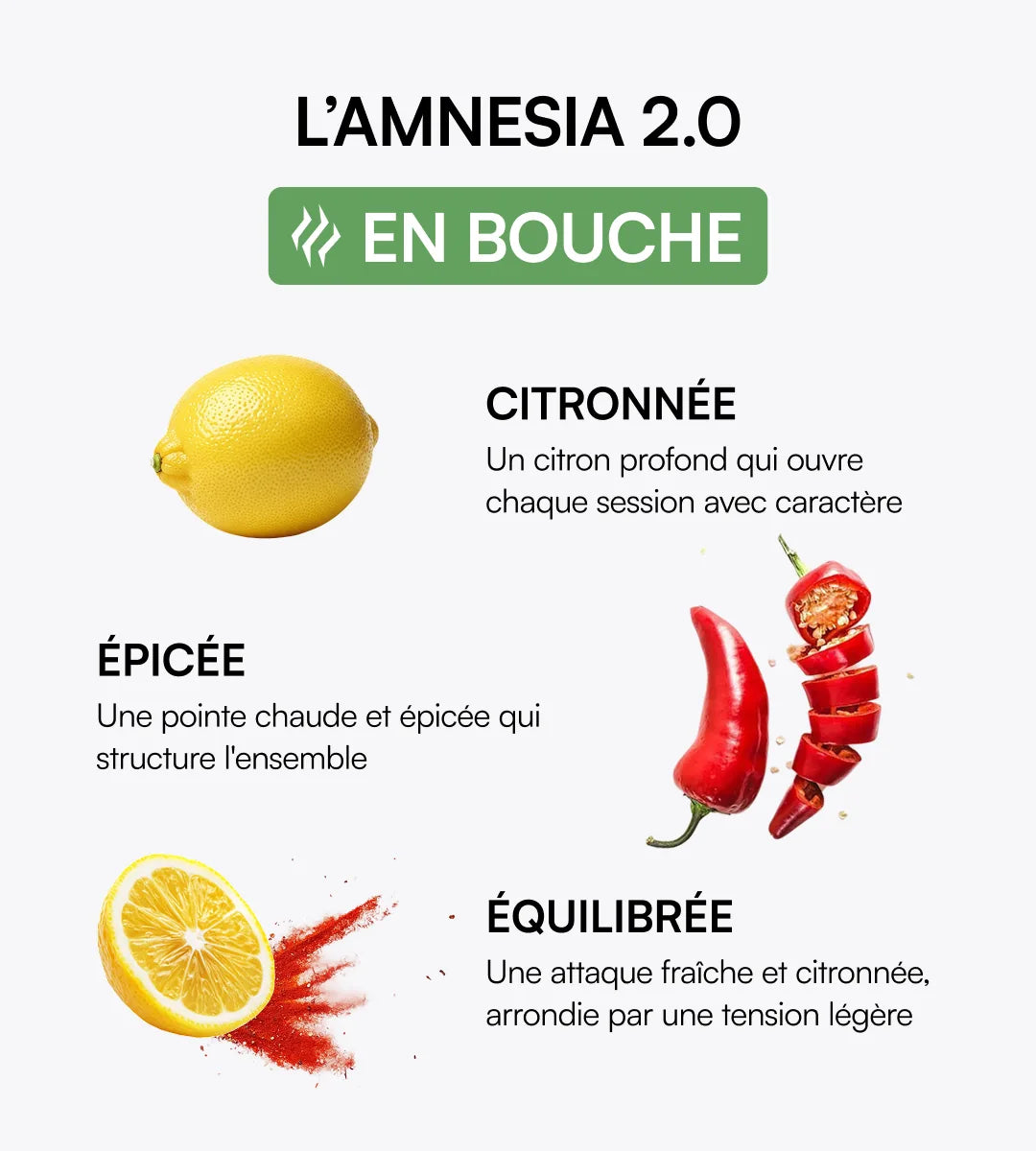 Pack découverte