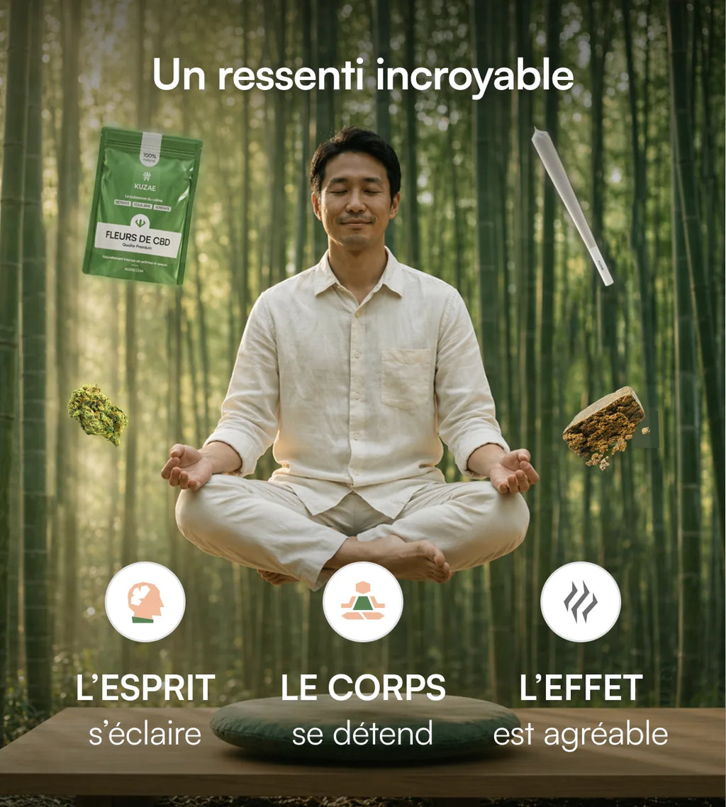 Pack découverte
