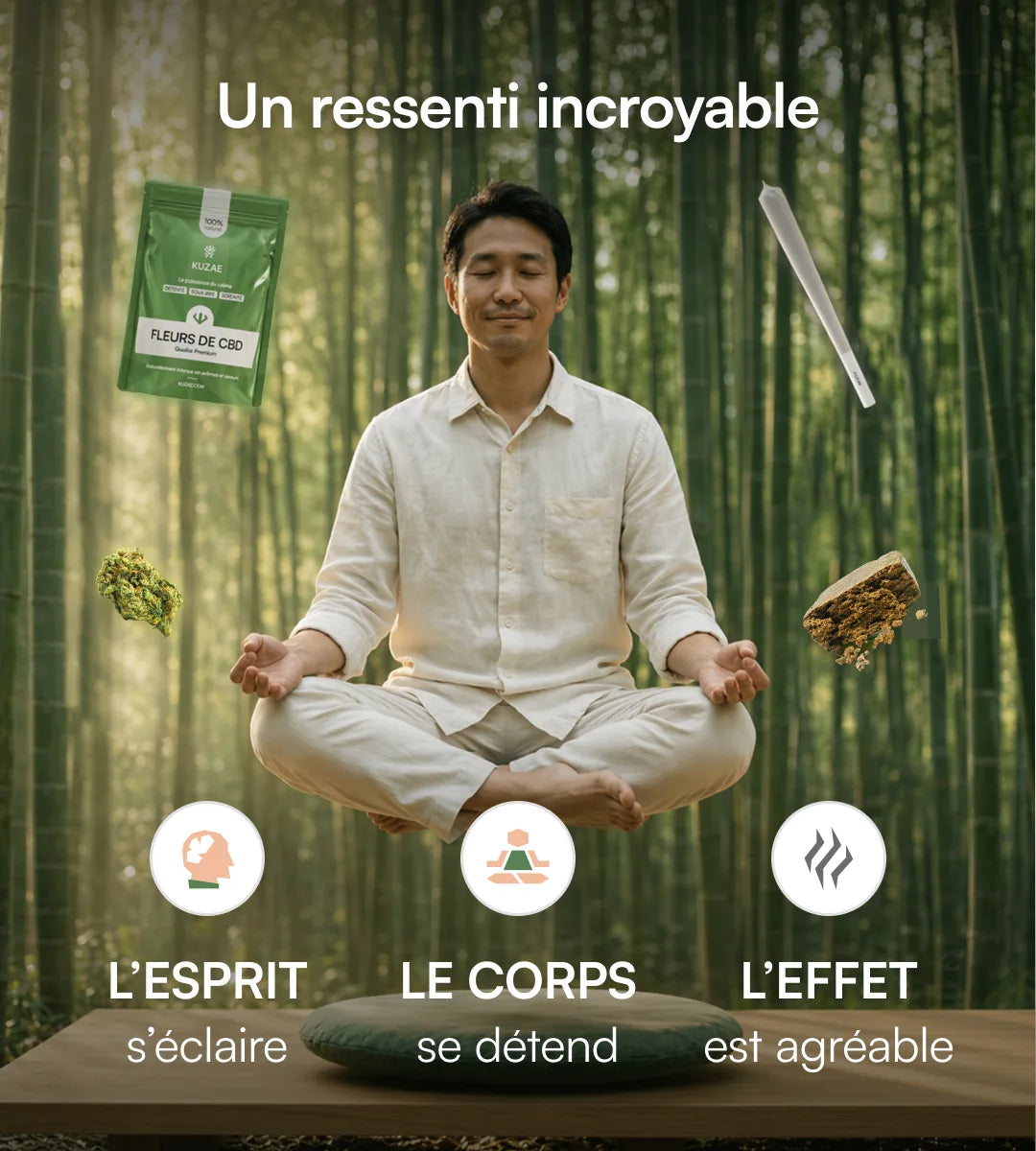 Pack découverte