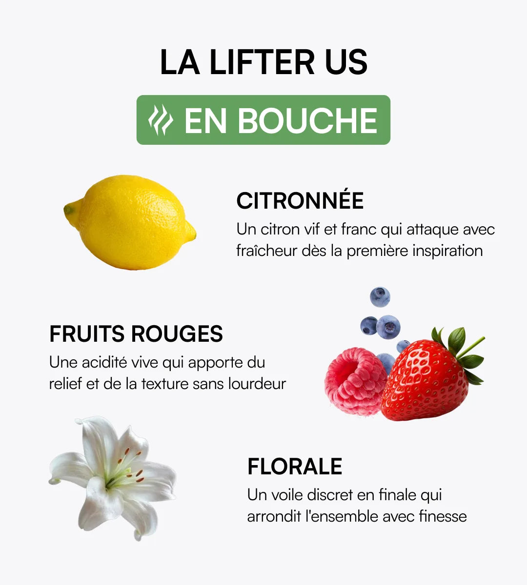 Pack découverte