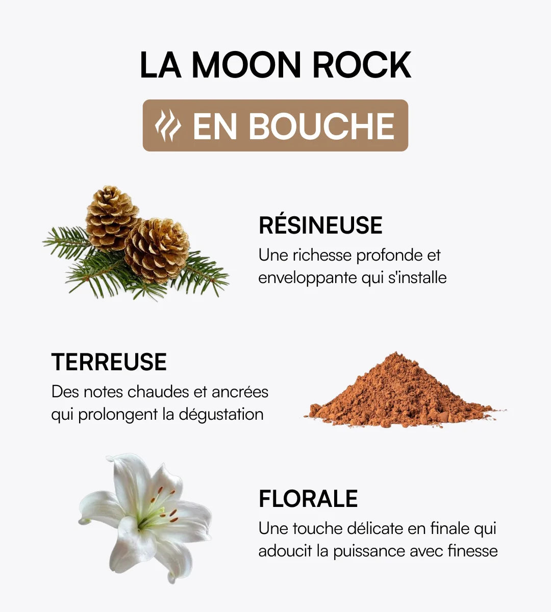 Pack découverte