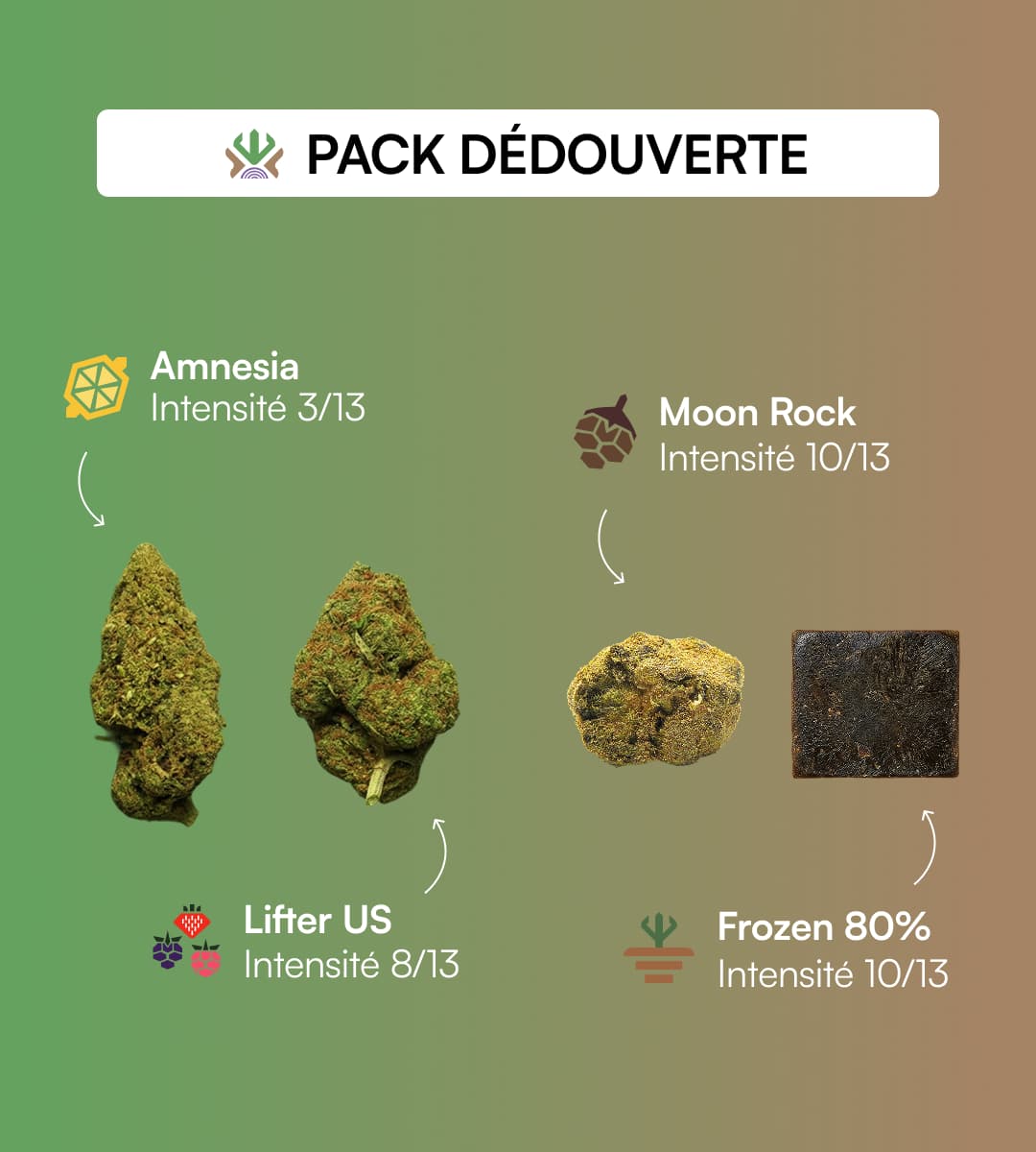 Pack découverte