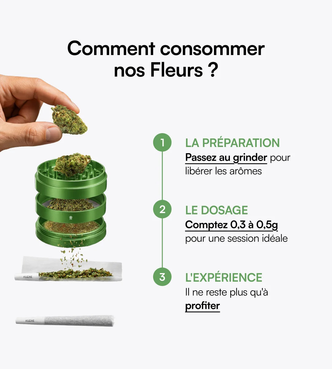 Pack découverte