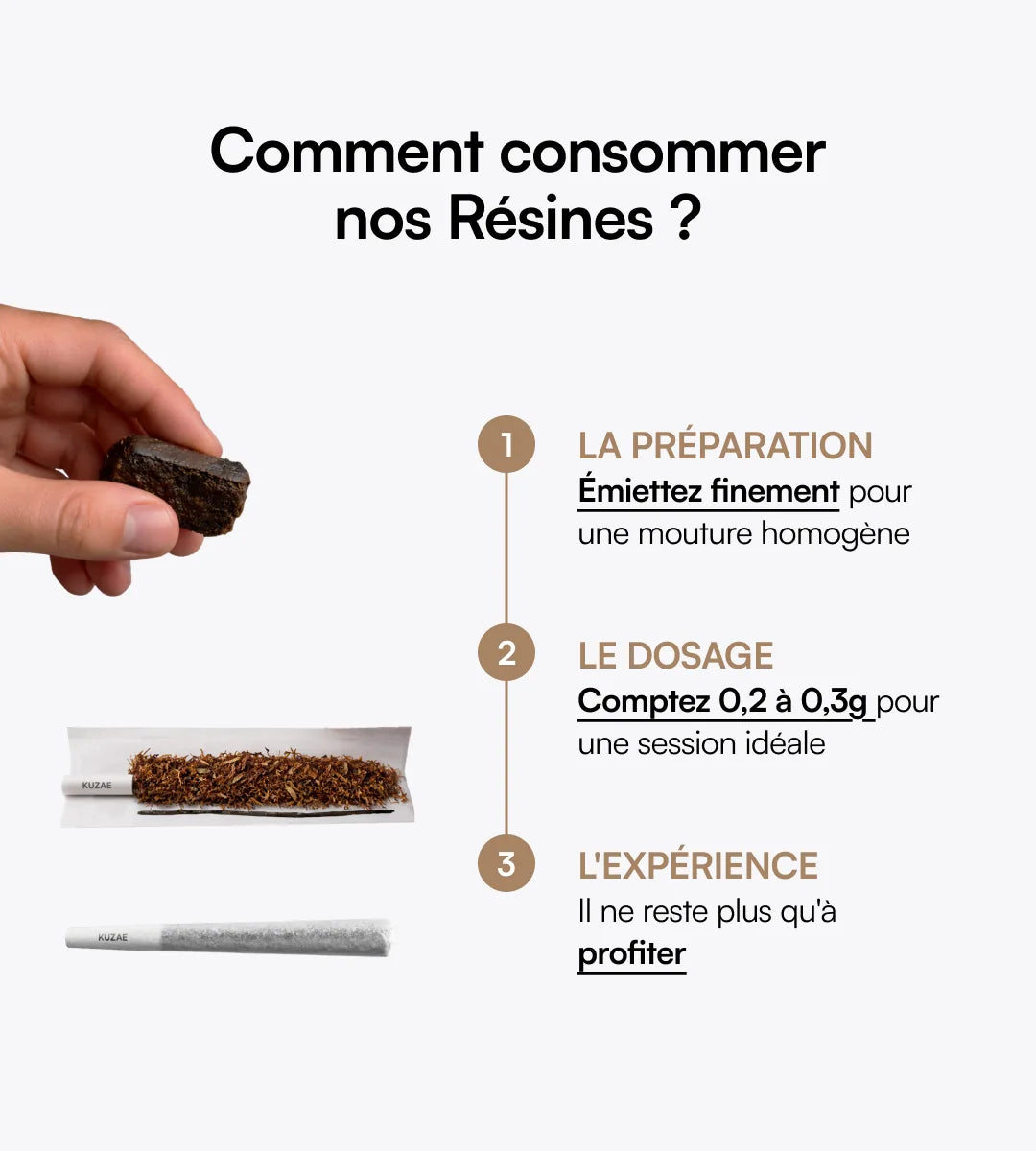 Pack découverte